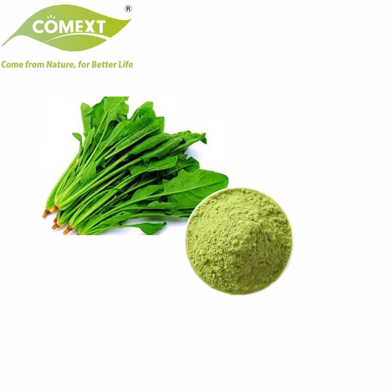 Fruit Vegetables Powder Extract Juice Powder Natural Organic