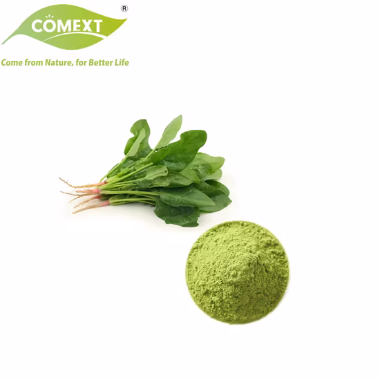 Fruit Vegetables Powder Extract Juice Powder Natural Organic